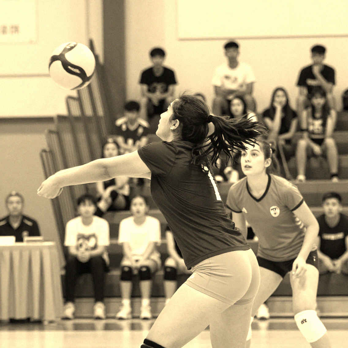 Nhật Bản mở màn cuộc đua giành vé Olympic 2028 tại giải vô địch bóng chuyền nam châu Á