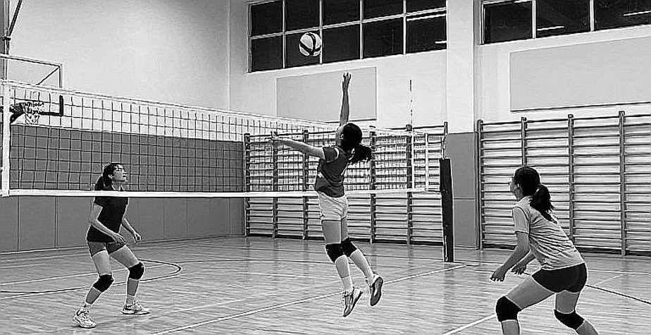 Tám năm sau bán kết Vĩnh Long 2026: mô hình ngoại binh và khoảng trống hàng giữa của bóng chuyền nữ Việt Nam