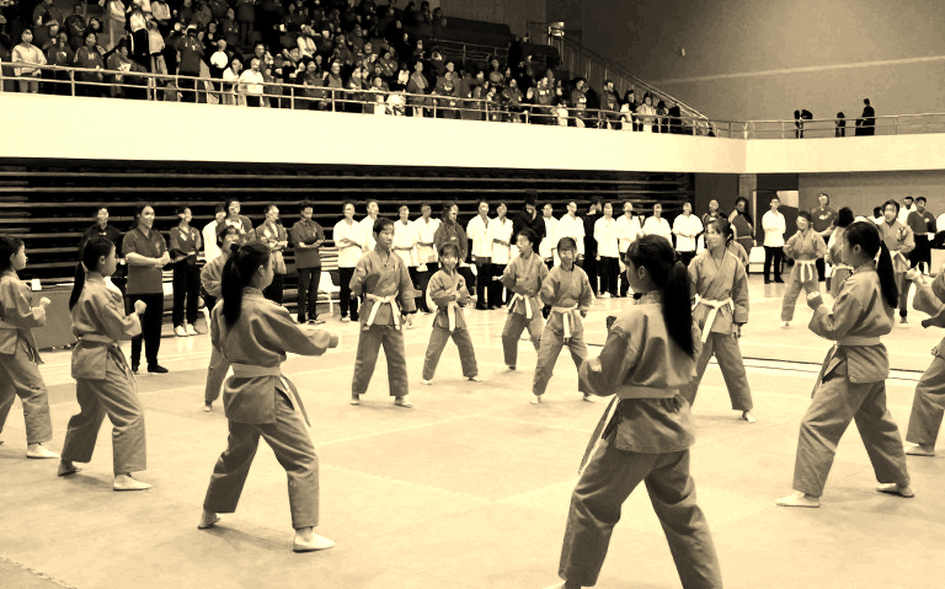 Chuncheon 2026: Tấm HCV poomsae đôi hỗn hợp U50 và một suất trống cần được đọc đúng