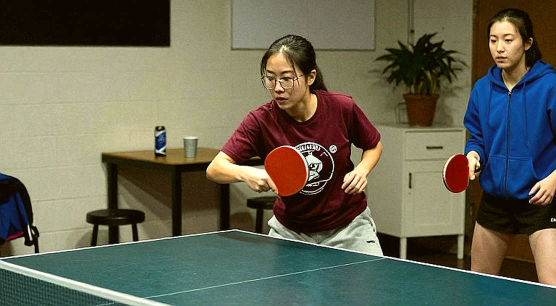 The Basement of Table Tennis: A Star Waits Only for a Glance The Basement of Table Tennis: A Star Waits Only for a Glance