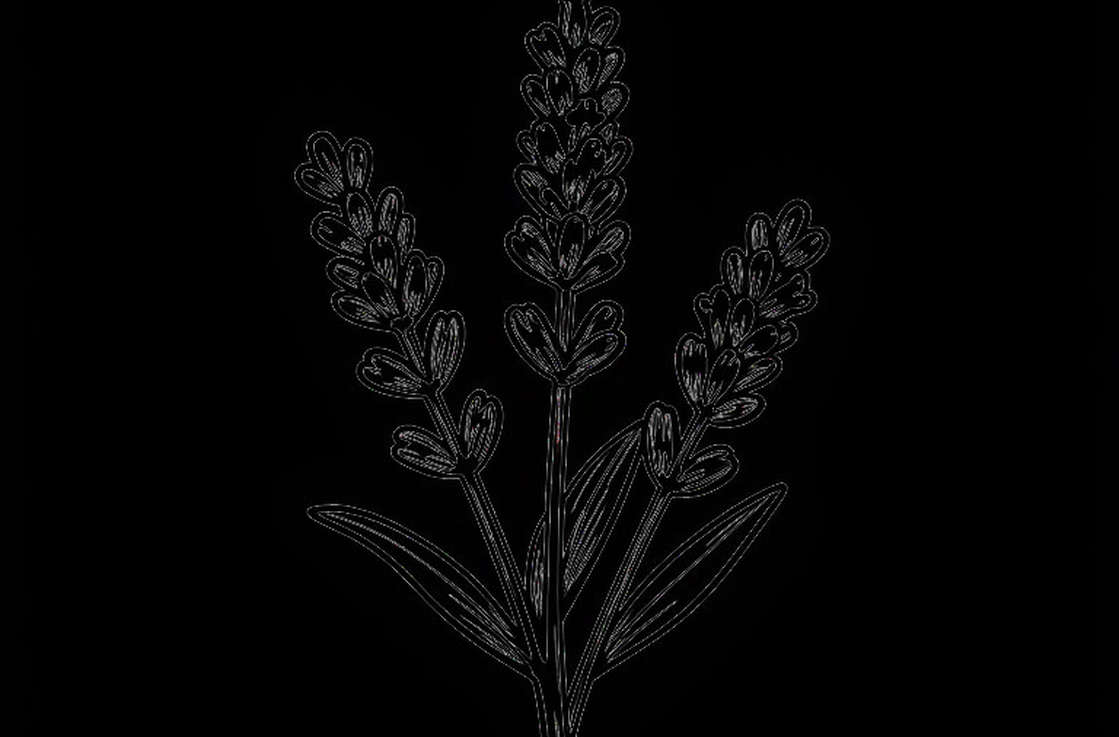 Trần Thị Cẩm Tú và chiếc huy chương bạc 17 tuổi: Bản chất thật của một thất bại 0-6 ở karate kumite