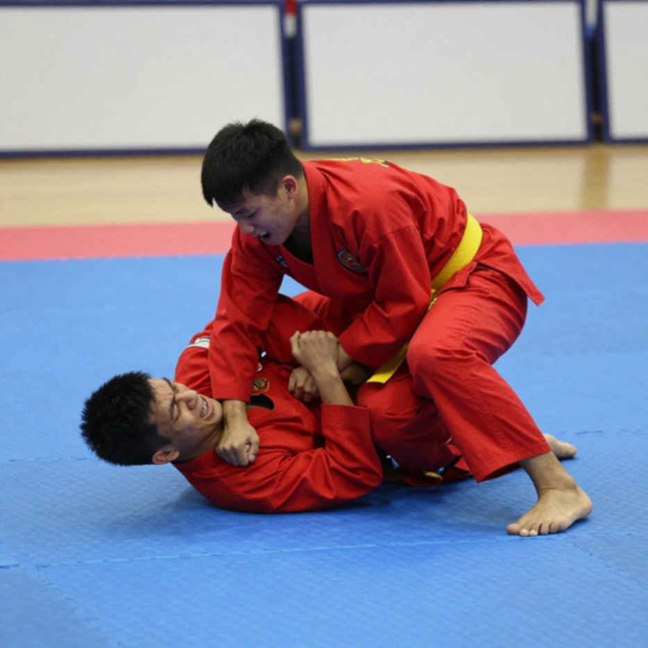 Vietnamese Martial Arts on Japan's Data Map: When the Ring Hides More Than It Reveals